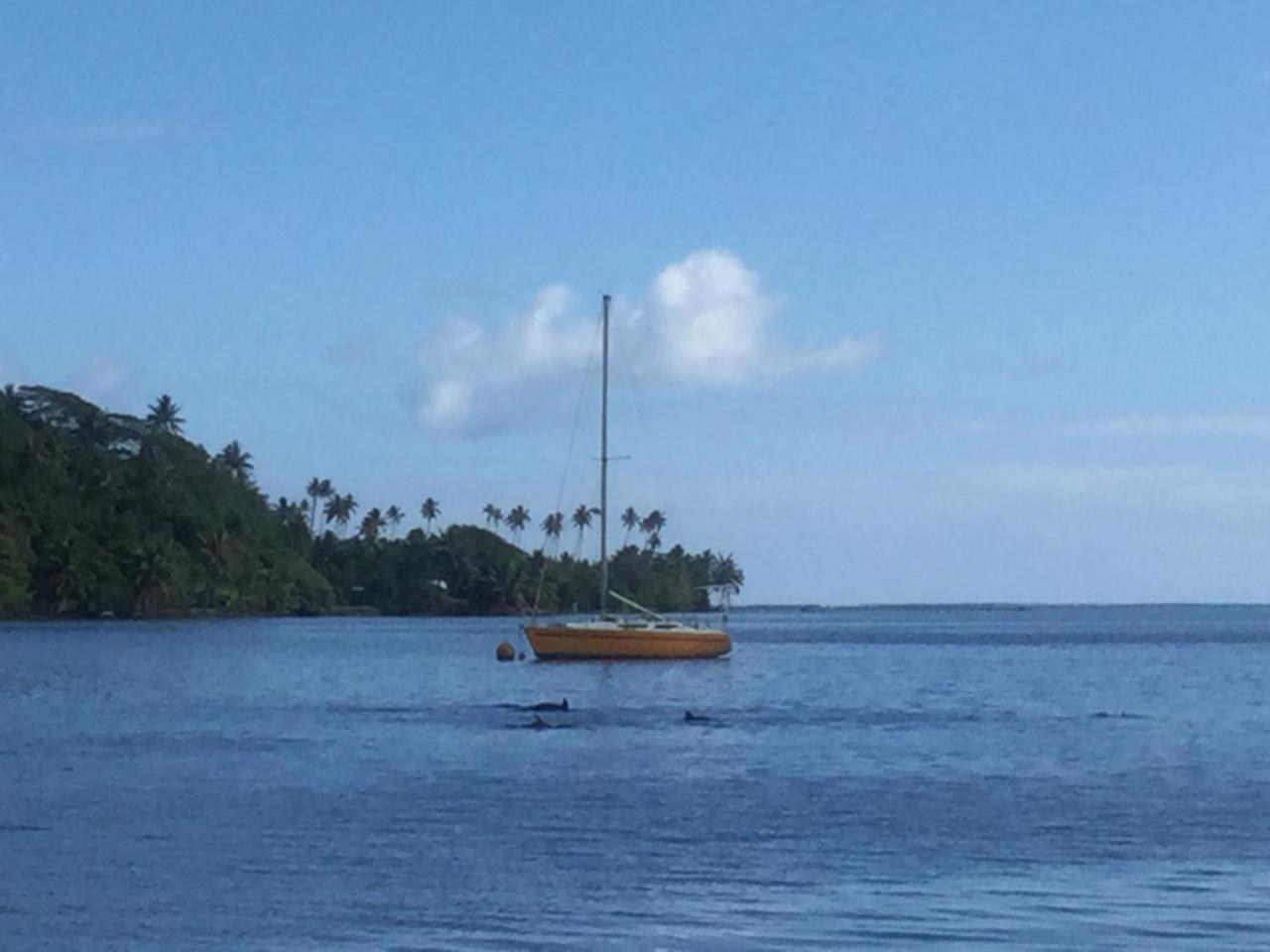 Raiatea Sur Mer Opoa Exterior foto